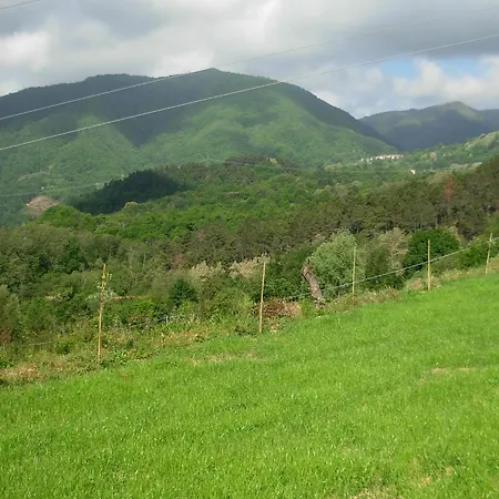 In Canossa With Swimming Pool Garden Barbecue Holiday home